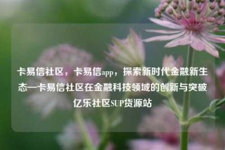 卡易信社区,卡易信app,探索新时代金融新生态—卡易信社区在金融科技领域的创新与突破亿乐社区SUP货源站