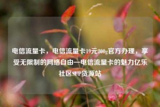 电信流量卡,电信流量卡19元200g官方办理,享受无限制的网络自由—电信流量卡的魅力亿乐社区SUP货源站