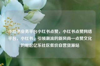 小红书业务平台小红书点赞，小红书点赞网络平台，小红书，引领潮流的新风尚—点赞文化的崛起亿乐社区低价自营货源站