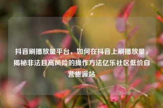 抖音刷播放量平台，如何在抖音上刷播放量，揭秘非法且高风险的操作方法亿乐社区低价自营货源站