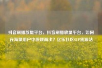 抖音刷播放量平台，抖音刷播放量平台，如何在海量用户中脱颖而出？亿乐社区SUP货源站