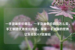 一手货源低价商品,一手货源低价商品怎么卖,手工制造优质低价商品,探索一手货源的世界亿乐社区SUP货源站