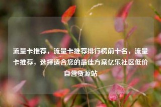 流量卡推荐，流量卡推荐排行榜前十名，流量卡推荐，选择适合您的最佳方案亿乐社区低价自营货源站