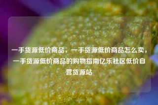 一手货源低价商品,一手货源低价商品怎么卖,一手货源低价商品的购物指南亿乐社区低价自营货源站