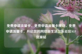 免费申请流量卡,免费申请流量卡移动,免费申请流量卡,开启您的网络新生活亿乐社区SUP货源站