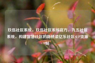 玖伍社区系统，玖伍社区系统官方，九五社区系统，构建智慧社区的新桥梁亿乐社区SUP货源站