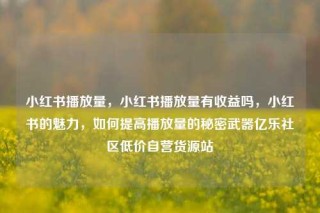 小红书播放量，小红书播放量有收益吗，小红书的魅力，如何提高播放量的秘密武器亿乐社区低价自营货源站