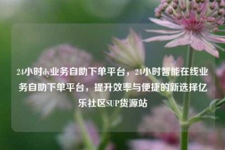 24小时dy业务自助下单平台,24小时智能在线业务自助下单平台,提升效率与便捷的新选择亿乐社区SUP货源站