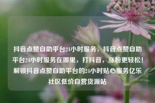 抖音点赞自助平台24小时服务,抖音点赞自助平台24小时服务在哪里,打抖音,涨粉更轻松!解锁抖音点赞自助平台的24小时贴心服务亿乐社区低价自营货源站
