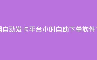 Pubg卡密网自动发卡平台 - dy24小时自助下单软件