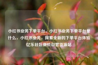 小红书业务下单平台,小红书业务下单平台是什么,小红书业务,探索全新的下单平台体验亿乐社区低价自营货源站