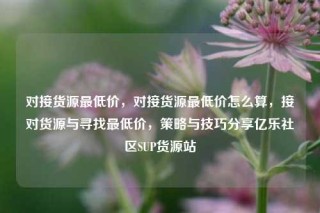 对接货源最低价,对接货源最低价怎么算,接对货源与寻找最低价,策略与技巧分享亿乐社区SUP货源站