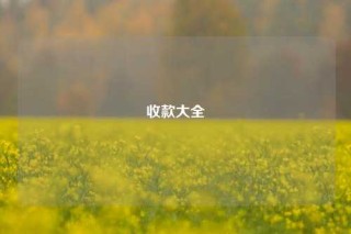收款大全
