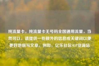 纯流量卡,纯流量卡无号码全国通用流量,当然可以,请提供一些额外的信息或关键词以便更好地撰写文章。例如,亿乐社区SUP货源站
