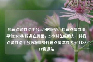 抖音点赞自助平台24小时服务,抖音点赞自助平台24小时服务在哪里,24小时在线助力,抖音点赞自助平台为您量身打造点赞体验亿乐社区SUP货源站
