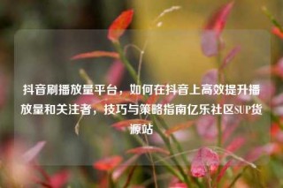 抖音刷播放量平台,如何在抖音上高效提升播放量和关注者,技巧与策略指南亿乐社区SUP货源站