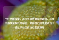 小红书播放量，小红书播放量有收益吗，小红书播放量飙升的秘密，揭秘热门博主的成功之道亿乐社区低价自营货源站