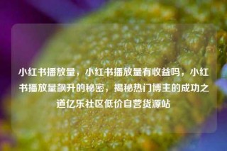 小红书播放量，小红书播放量有收益吗，小红书播放量飙升的秘密，揭秘热门博主的成功之道亿乐社区低价自营货源站