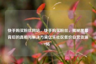 快手购买粉丝网站，快手购买粉丝，揭秘黑幕背后的真相与解决方案亿乐社区低价自营货源站