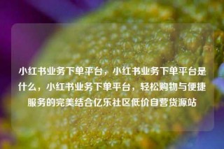 小红书业务下单平台，小红书业务下单平台是什么，小红书业务下单平台，轻松购物与便捷服务的完美结合亿乐社区低价自营货源站