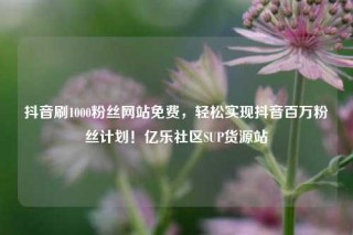 抖音刷1000粉丝网站免费,轻松实现抖音百万粉丝计划!亿乐社区SUP货源站