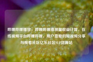 哔哩哔哩播放,哔哩哔哩播放量收益计算,在线视频平台哔哩哔哩,用户喜爱的短视频分享与观看社区亿乐社区SUP货源站
