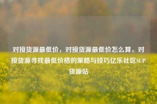 对接货源最低价,对接货源最低价怎么算,对接货源寻找最低价格的策略与技巧亿乐社区SUP货源站
