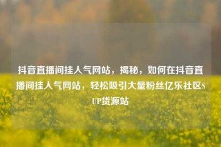 抖音直播间挂人气网站,揭秘,如何在抖音直播间挂人气网站,轻松吸引大量粉丝亿乐社区SUP货源站