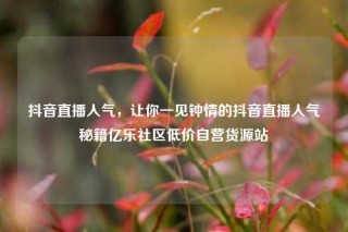 抖音直播人气,让你一见钟情的抖音直播人气秘籍亿乐社区低价自营货源站