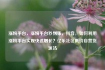 涨粉平台，涨粉平台秒到账，抖音，如何利用涨粉平台实现快速增长？亿乐社区低价自营货源站