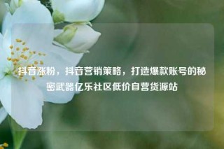 抖音涨粉，抖音营销策略，打造爆款账号的秘密武器亿乐社区低价自营货源站