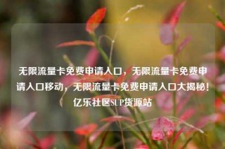 无限流量卡免费申请入口,无限流量卡免费申请入口移动,无限流量卡免费申请入口大揭秘!亿乐社区SUP货源站