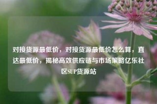 对接货源最低价，对接货源最低价怎么算，直达最低价，揭秘高效供应链与市场策略亿乐社区SUP货源站