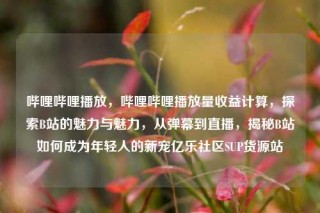 哔哩哔哩播放,哔哩哔哩播放量收益计算,探索B站的魅力与魅力,从弹幕到直播,揭秘B站如何成为年轻人的新宠亿乐社区SUP货源站