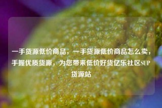 一手货源低价商品,一手货源低价商品怎么卖,手握优质货源,为您带来低价好货亿乐社区SUP货源站