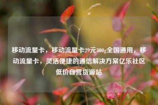 移动流量卡，移动流量卡29元300g全国通用，移动流量卡，灵活便捷的通信解决方案亿乐社区低价自营货源站