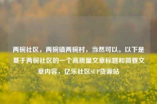 两碗社区,两碗镇两碗村,当然可以。以下是基于两碗社区的一个高质量文章标题和简要文章内容,亿乐社区SUP货源站