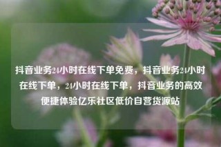 抖音业务24小时在线下单免费,抖音业务24小时在线下单,24小时在线下单,抖音业务的高效便捷体验亿乐社区低价自营货源站