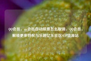 QQ会员，qq会员自动续费怎么取消，QQ会员，解锁更多特权与乐趣亿乐社区SUP货源站