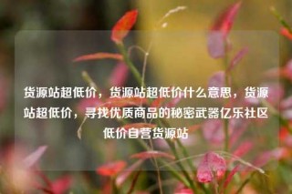 货源站超低价,货源站超低价什么意思,货源站超低价,寻找优质商品的秘密武器亿乐社区低价自营货源站
