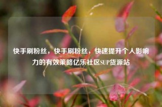 快手刷粉丝，快手刷粉丝，快速提升个人影响力的有效策略亿乐社区SUP货源站