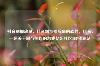 抖音刷播放量,抖音增加播放量的软件,抖音,一场关于刷与创作的游戏亿乐社区SUP货源站