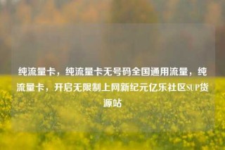 纯流量卡,纯流量卡无号码全国通用流量,纯流量卡,开启无限制上网新纪元亿乐社区SUP货源站