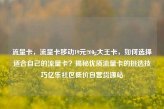 流量卡,流量卡移动19元200g大王卡,如何选择适合自己的流量卡?揭秘优质流量卡的挑选技巧亿乐社区低价自营货源站