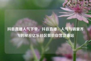 抖音直播人气下单,抖音直播,人气与销量齐飞的秘密亿乐社区低价自营货源站