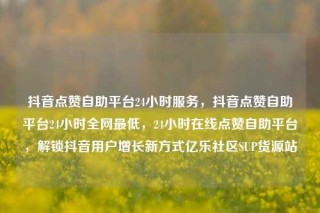 抖音点赞自助平台24小时服务,抖音点赞自助平台24小时全网最低,24小时在线点赞自助平台,解锁抖音用户增长新方式亿乐社区SUP货源站