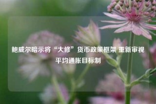 鲍威尔暗示将“大修”货币政策框架 重新审视平均通胀目标制