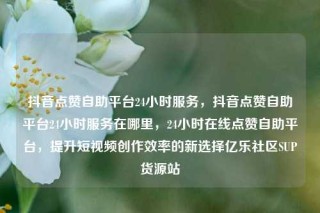 抖音点赞自助平台24小时服务,抖音点赞自助平台24小时服务在哪里,24小时在线点赞自助平台,提升短视频创作效率的新选择亿乐社区SUP货源站