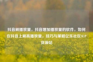 抖音刷播放量,抖音增加播放量的软件,如何在抖音上刷高播放量,技巧与策略亿乐社区SUP货源站