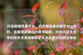 抖音刷播放量平台,抖音播放量自助平台24小时,流量泡沫背后的数字陷阱,抖音内容生态中的灰色交易链解析亿乐社区低价自营货源站